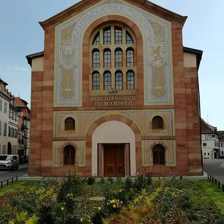 Gite Spacieux Au Coeur De L'Alsace 3*** Sélestat Buitenkant foto