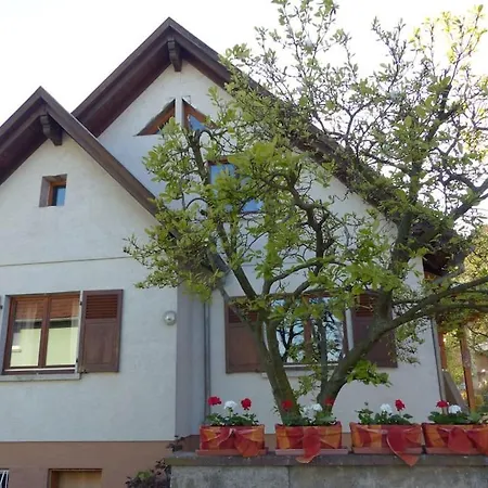 Gite Spacieux Au Coeur De L'Alsace 3*** Sélestat Buitenkant foto