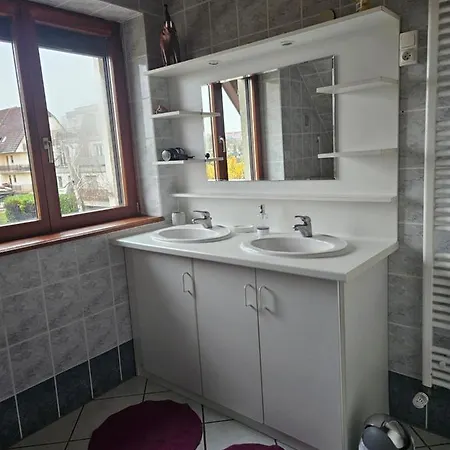 Gite Spacieux Au Coeur De L'Alsace 3*** Sélestat Buitenkant foto