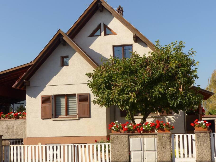Spacieux Au Coeur De L'alsace 3*** Sélestat