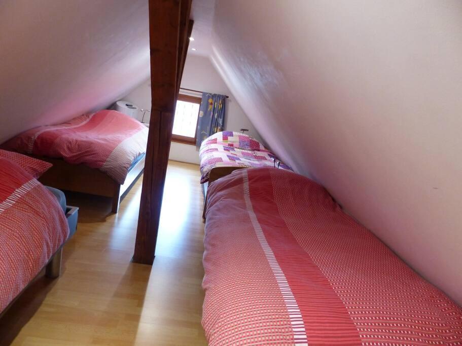 Apartment Spacieux Au Coeur De L'alsace 3*** Sélestat