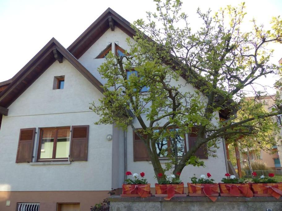 Spacieux Au Coeur De L'alsace 3*** Selestat
