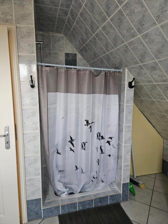 Apartment Spacieux Au Coeur De L'alsace 3***