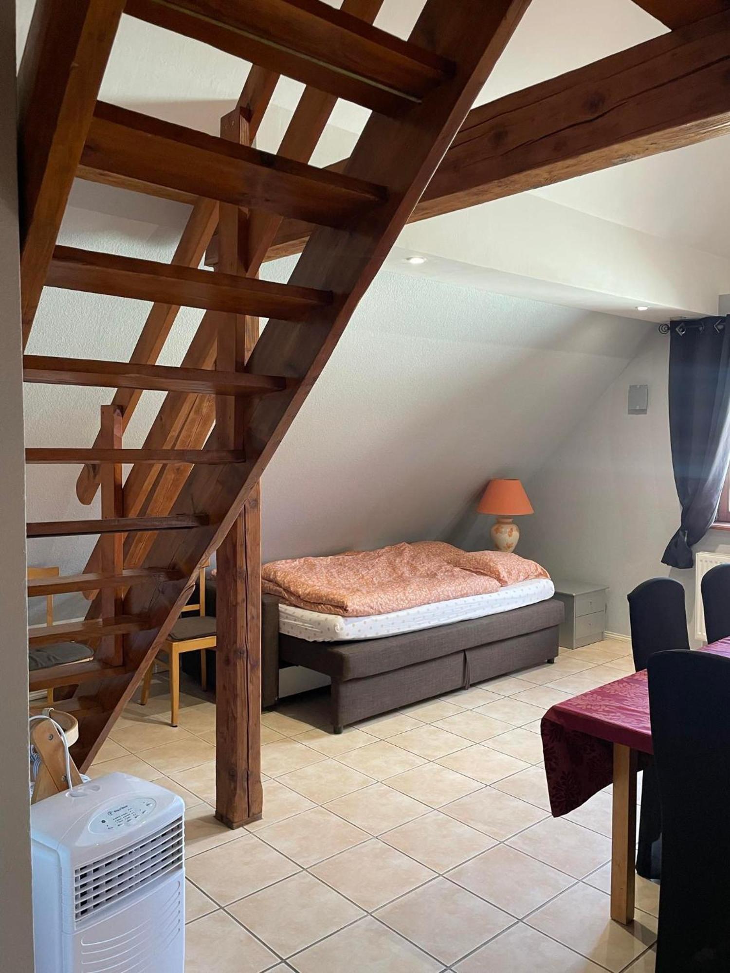 Spacieux Au Coeur De L'alsace 3*** Selestat